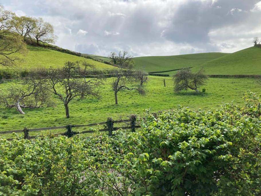 Charming Countryside Cottage Ground Floor Apartment In Combeinteignhead Devon Bishopsteignton 외부 사진